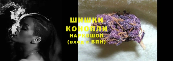 бошки Новозыбков