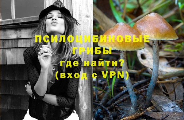 спайс Новодвинск